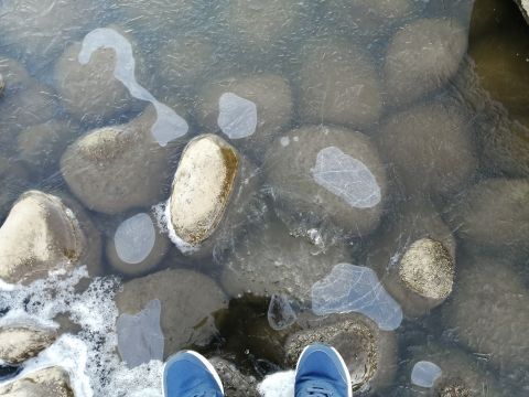 ICE.jpg