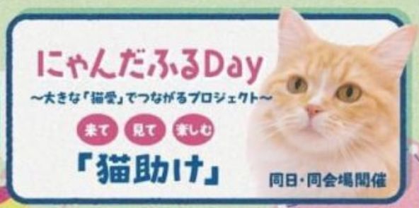 Nyan.jpg