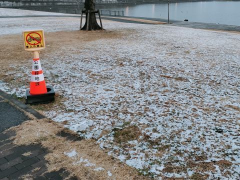 Snow.jpg