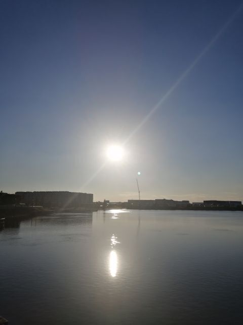 SUN.jpg
