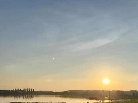 20250617SUMMER.jpg