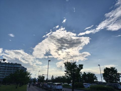 SKY.jpg