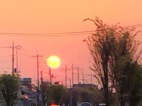 SUN.jpg